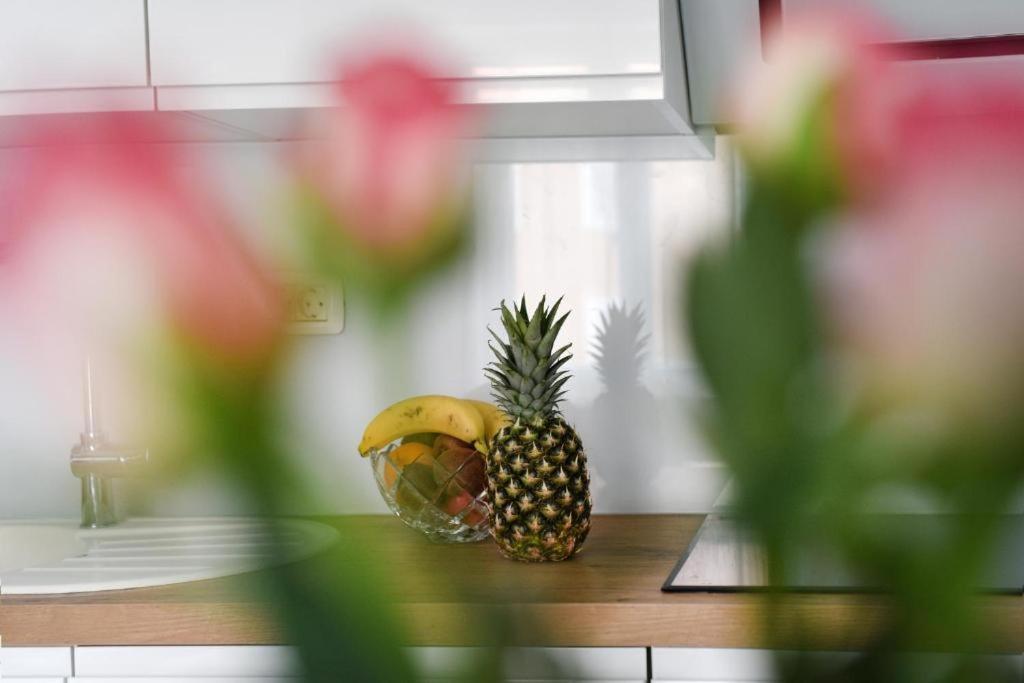 Apartment Lant زادار المظهر الخارجي الصورة