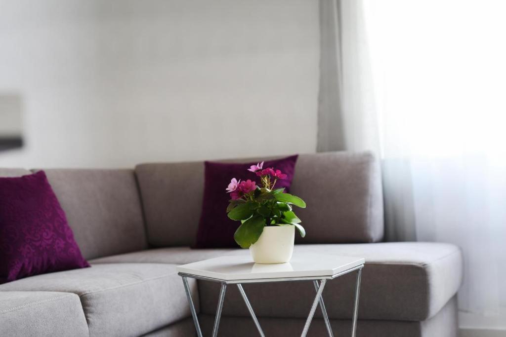 Apartment Lant زادار المظهر الخارجي الصورة
